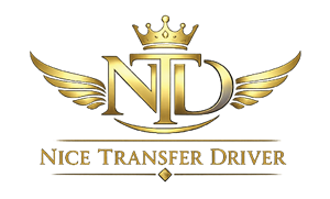 Logo-nice-transfer-driver-V1 - mini