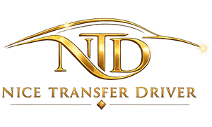 Logo-nice-transfer-driver-V2 new -mini